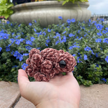 Load image into Gallery viewer, Large SPOG - Spider Frog