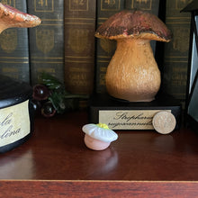 Load image into Gallery viewer, Berry Blossom Shroomie - Small Shroom