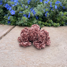 Load image into Gallery viewer, Large SPOG - Spider Frog