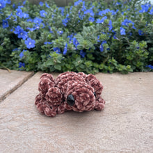 Load image into Gallery viewer, Large SPOG - Spider Frog