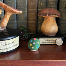 Load image into Gallery viewer, Alice’s Wildflowers Shroomie