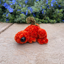 Load image into Gallery viewer, Large Pumpkin Frog