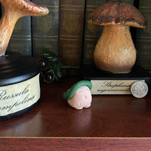 Load image into Gallery viewer, Alice’s Wildflowers Shroomie