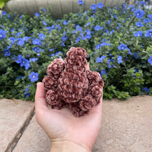 Load image into Gallery viewer, Large SPOG - Spider Frog