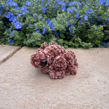 Load image into Gallery viewer, Large SPOG - Spider Frog