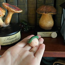 Load image into Gallery viewer, Alice’s Wildflowers Shroomie