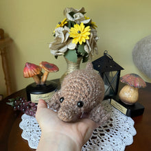 Load image into Gallery viewer, Wheat Bread Snoot