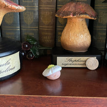 Load image into Gallery viewer, Berry Blossom Shroomie - Small Shroom