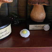 Load image into Gallery viewer, Berry Blossom Shroomie - Small Shroom