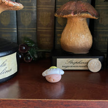 Load image into Gallery viewer, Berry Blossom Shroomie - Small Shroom