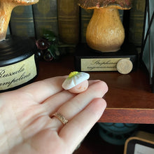 Load image into Gallery viewer, Berry Blossom Shroomie - Small Shroom