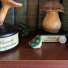 Load image into Gallery viewer, Alice’s Wildflowers Shroomie