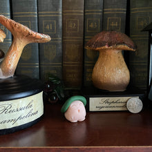 Load image into Gallery viewer, Alice’s Wildflowers Shroomie