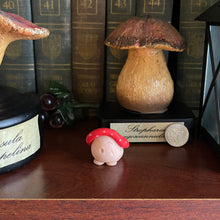 Load image into Gallery viewer, Strawberry Shroomie