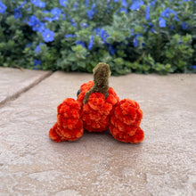 Load image into Gallery viewer, Large Pumpkin Frog