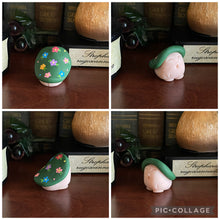 Load image into Gallery viewer, Alice’s Wildflowers Shroomie