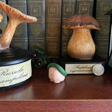 Load image into Gallery viewer, Alice’s Wildflowers Shroomie