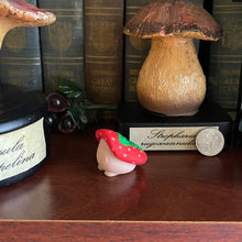 Load image into Gallery viewer, Strawberry Shroomie
