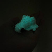 Load image into Gallery viewer, Glowing Ghost Frog - Small Frog
