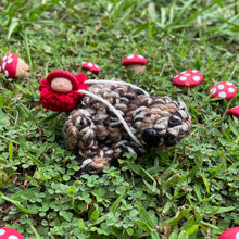 Load image into Gallery viewer, Large Forager Frog