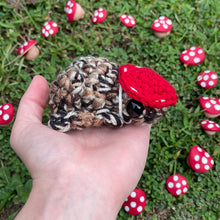 Load image into Gallery viewer, Large Forager Frog