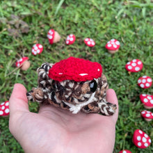 Load image into Gallery viewer, Large Forager Frog