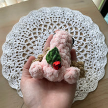 Load image into Gallery viewer, Large Framboise Cake Frog