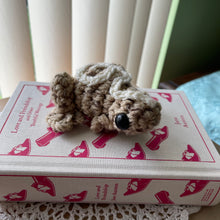 Load image into Gallery viewer, Large Cinnamon Roll Frog