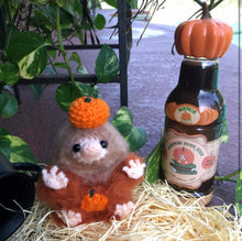 Load image into Gallery viewer, Pumpkin Juice Snoot