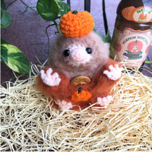 Load image into Gallery viewer, Pumpkin Juice Snoot