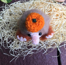 Load image into Gallery viewer, Pumpkin Juice Snoot