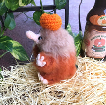 Load image into Gallery viewer, Pumpkin Juice Snoot