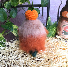 Load image into Gallery viewer, Pumpkin Juice Snoot