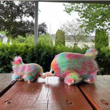 Load image into Gallery viewer, Super Snoot! - Giant Snoot