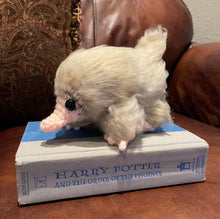 Load image into Gallery viewer, Super Snoot! - Giant Snoot