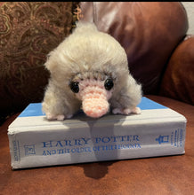 Load image into Gallery viewer, Super Snoot! - Giant Snoot