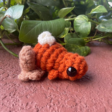 Load image into Gallery viewer, Pumpkin Pie Frog - Two Sizes