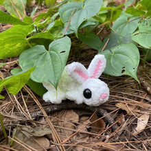 Load image into Gallery viewer, Bunny Frog - Large Frog