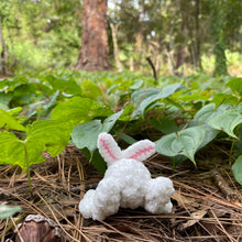 Load image into Gallery viewer, Bunny Frog - Large Frog