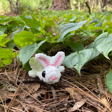 Load image into Gallery viewer, Bunny Frog - Large Frog