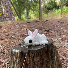 Load image into Gallery viewer, Bunny Frog - Large Frog