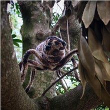 Load image into Gallery viewer, Gogara the Spider - Fully Posable Giant Spider