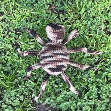 Load image into Gallery viewer, Gogara the Spider - Fully Posable Giant Spider