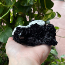 Load image into Gallery viewer, Glowing Tomb Frog - Large Frog