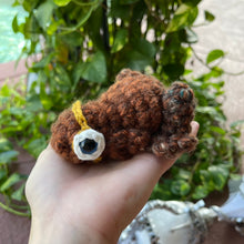 Load image into Gallery viewer, Magic Eye Frog - Glowing Eye - Large Frog