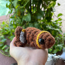 Load image into Gallery viewer, Magic Eye Frog - Glowing Eye - Large Frog