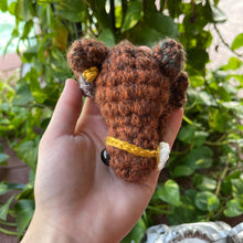 Load image into Gallery viewer, Magic Eye Frog - Glowing Eye - Large Frog