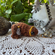 Load image into Gallery viewer, Magic Eye Frog - Glowing Eye - Large Frog