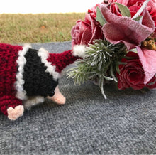 Load image into Gallery viewer, Santa Snoot