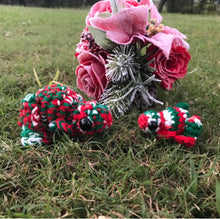 Load image into Gallery viewer, Peppermint Toads - Arrives after Christmas